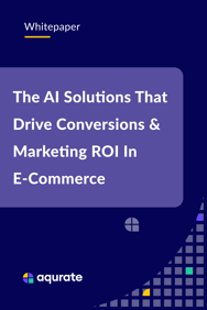 AI Solution in eCommerce - whitepaper