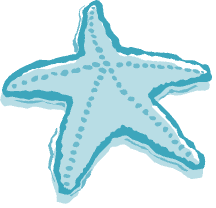 Nikivibes logo